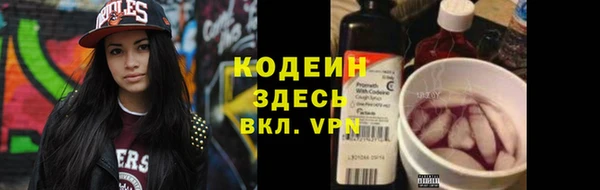индика Пестово