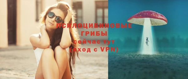 эйфоретик Гвардейск