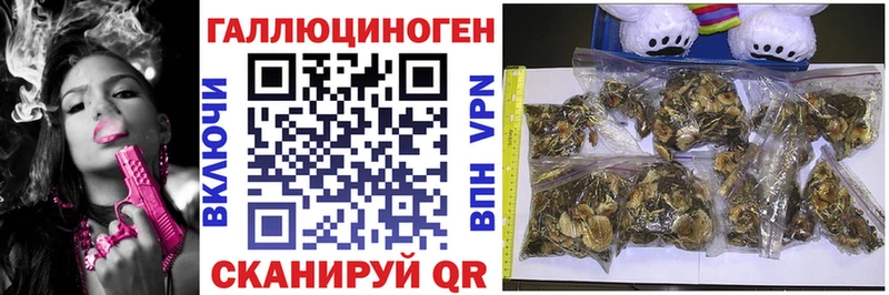 Галлюциногенные грибы прущие грибы  Избербаш 