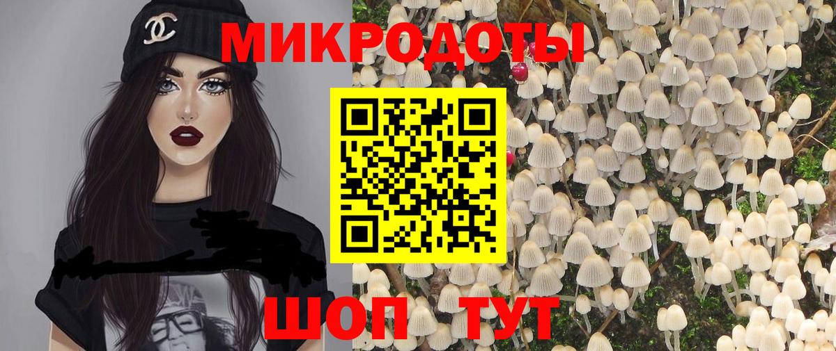 Галлюциногенные грибы Psilocybine cubensis  Вход с VPN  Избербаш 