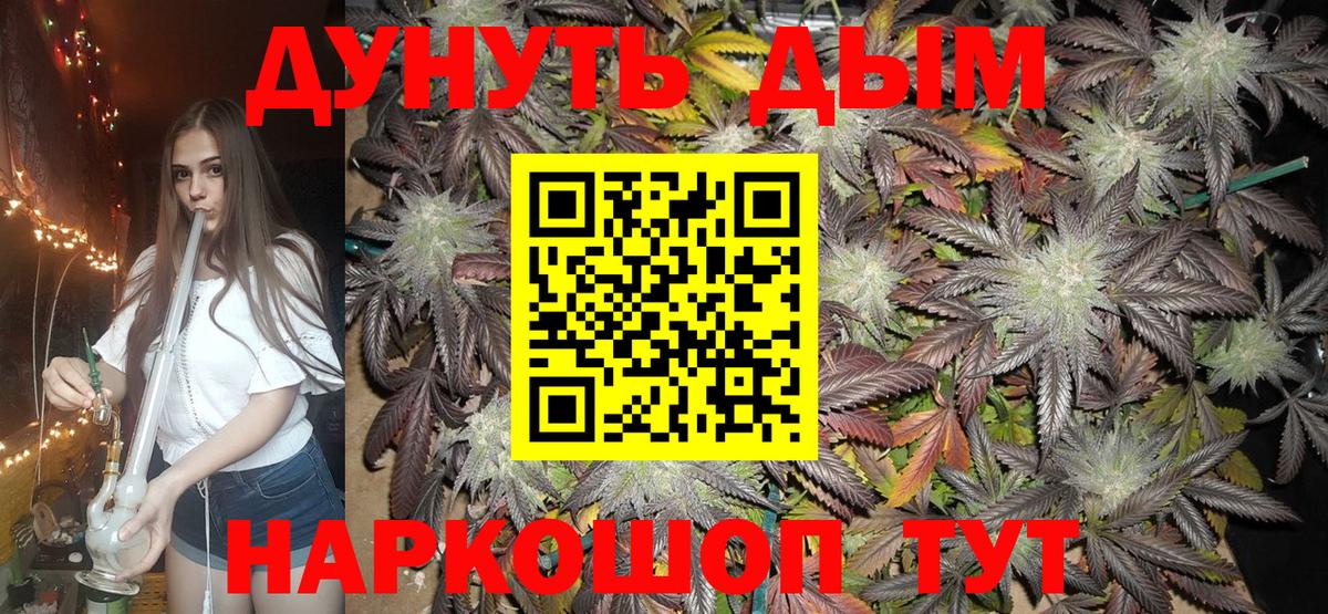 Шишки марихуана MAZAR  Шишки марихуана гибрид  Избербаш  Марихуана сатива 